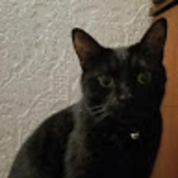 Meet your Posher, Marie-helene - Picture 1 of 1